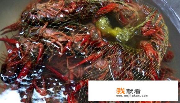 活的小龙虾怎么保存？