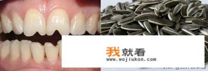 葵花籽热量高吗？