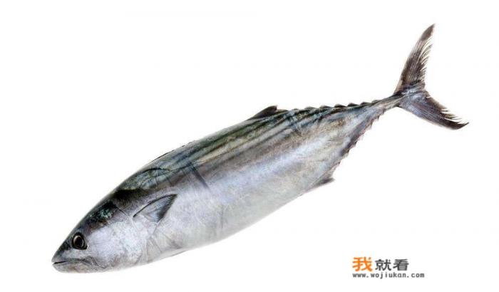 三文鱼和虹鳟鱼的区别？