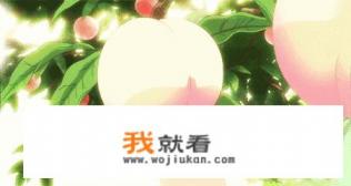 桃子和苹果哪个营养价值更高？