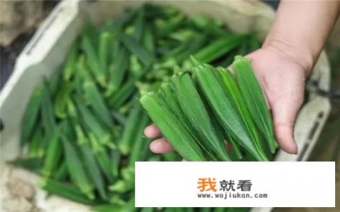 秋葵几月份种植？