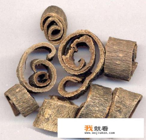 厚朴有哪些形态特征和功效？