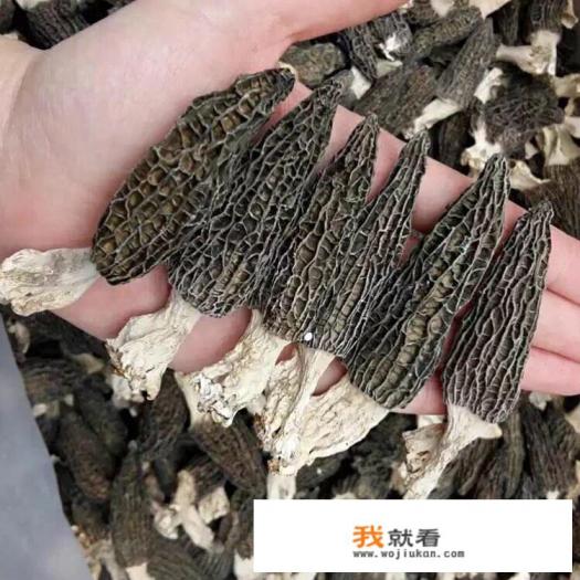 野羊肚菌多少一斤？