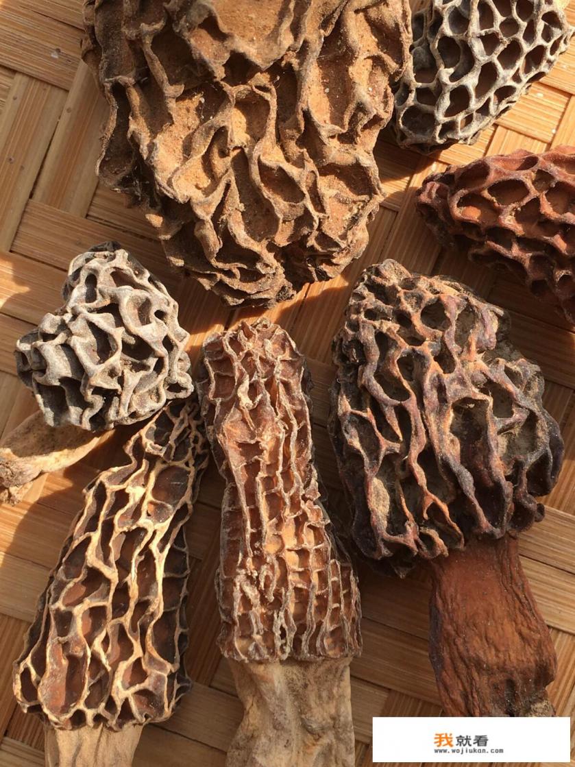 野羊肚菌多少一斤？
