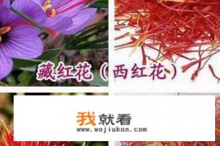 如何分辨真假藏红花？有人将萝卜丝、玉米须染色冒充藏红花，如何区分？