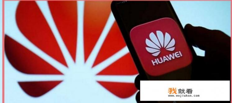 华为是私企还是国企？
