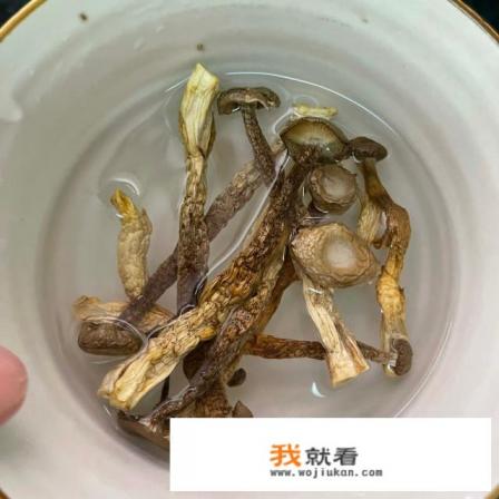 炖汤正宗做法？