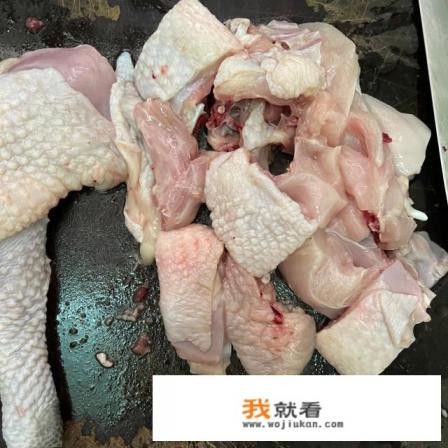 炖汤正宗做法？