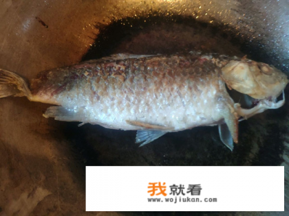 清炖鲫鱼汤的做法第一美食