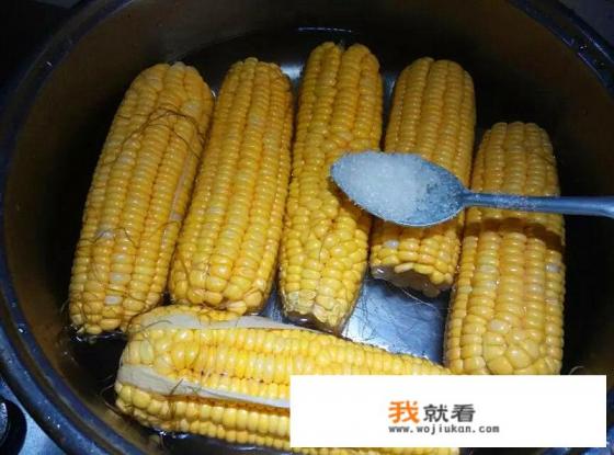 玉米老了怎么煮才能嫩？
