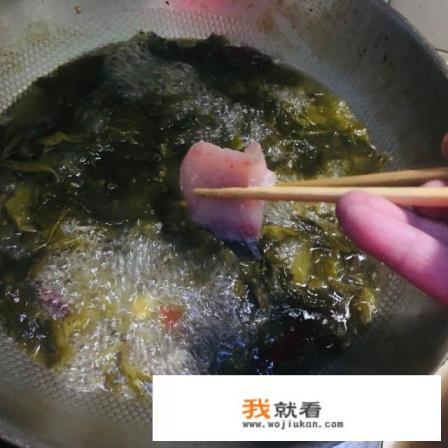正宗酸菜鱼的做法怎么做？