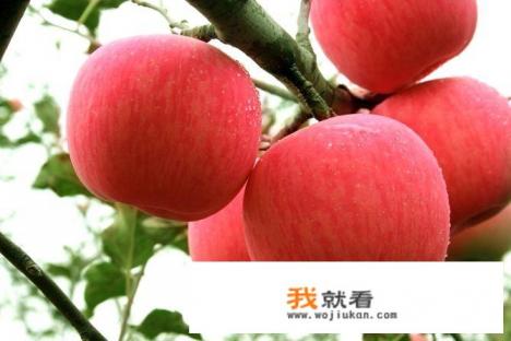 现今苹果市场价格怎么样？