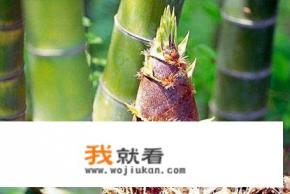 我们学校举行美食节，可如何现场做，简单美食，要做法？