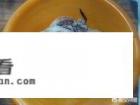 孜然脆口鱿鱼须的做法？