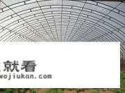 疏菜大棚在住宅前建可以吗？