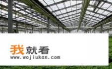 疏菜大棚在住宅前建可以吗？