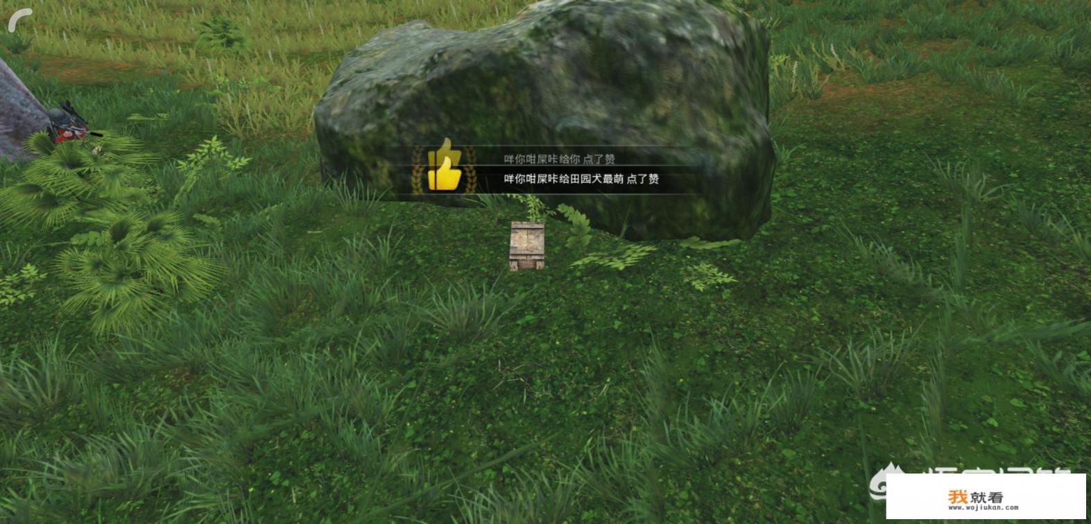 动物游戏之谜的行文结构是什么？