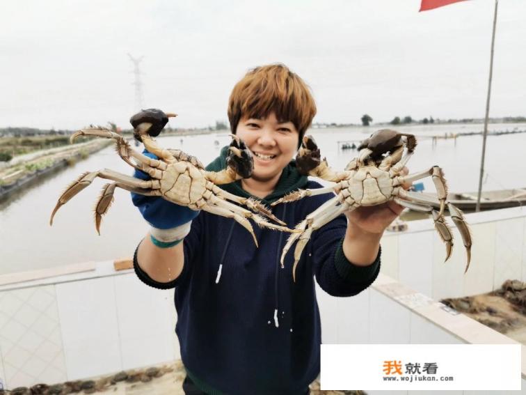 阳澄湖大闸蟹价格跳水，我们期盼的大闸蟹自由要来了吗？