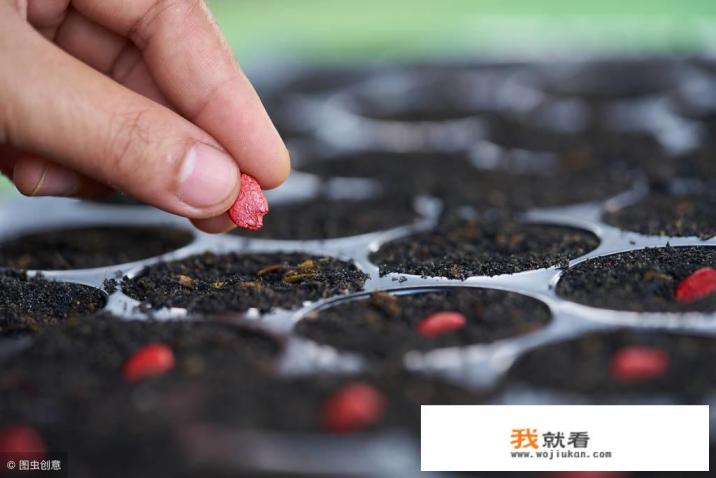 南方清明节吃的那种绿色的小包叫什么怎么做？