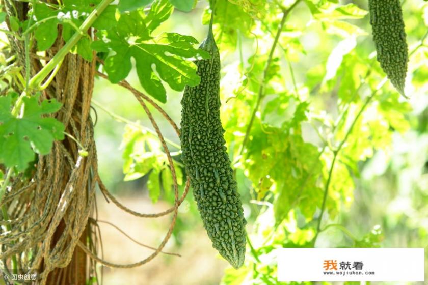 南方清明节吃的那种绿色的小包叫什么怎么做？