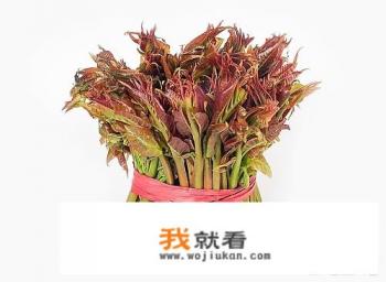 香椿有什么营养价值？怎么做又能锁住营养又好吃？