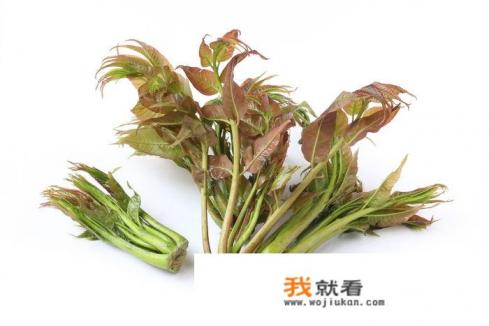 香椿有什么营养价值？怎么做又能锁住营养又好吃？