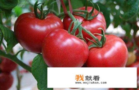 生吃西红柿的好处和坏处？