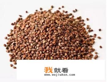 菠菜种植的时间和方法？