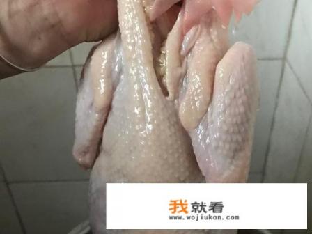 鸡肉太硬怎么煮烂？