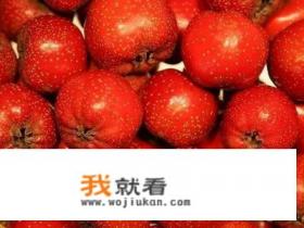 糖葫芦的制作材料？