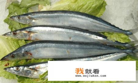 刀鱼，带鱼，秋刀鱼有啥区别？价格怎么差那么多？