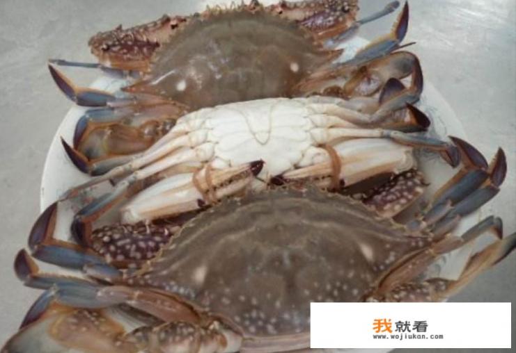 香椿上市价格惊人，有的摊点香椿已经卖到150到200元一公斤! 对此，你怎么看？