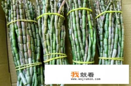 花旗参与石斛一起煲汤的做法？