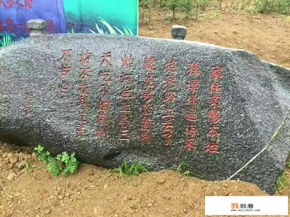 人参茶合法吗？