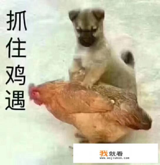 有个弹钢琴的游戏叫什么挺火的？