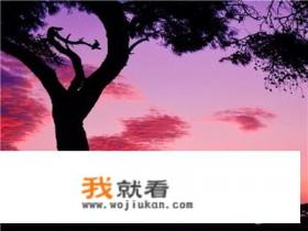 丈夫在家就知道打游戏，家务活什么都不管，怎么办？