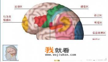 一加七手机怎样设置游戏免打扰？