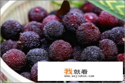 宁波十大小吃，不可错过的特色美食？