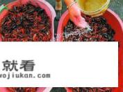 怎么把龙虾洗干净？