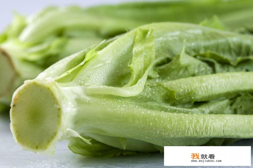 下奶汤的10种做法？