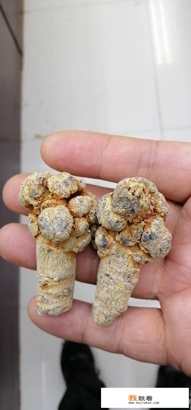 丹参粉的功效与作用及食用方法是什么？