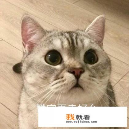 游戏主播签约费成百上千万，礼物提成与娱乐版块提成对比如何呢？