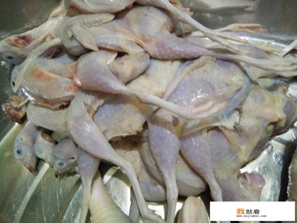 卤鸽子的最佳时间？