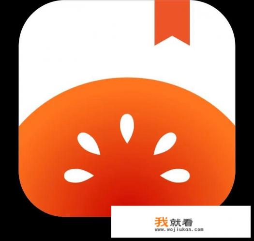 哪个软件看小说最好？