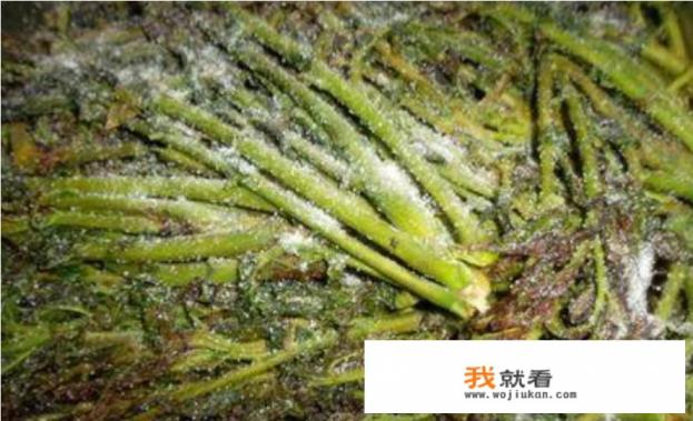 香椿炒鸡蛋的做法？