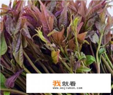 香椿炒鸡蛋的做法？