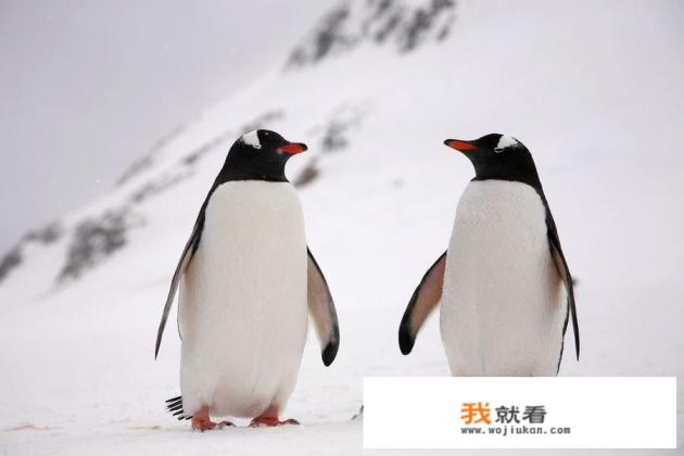 回复2是什么意思？
