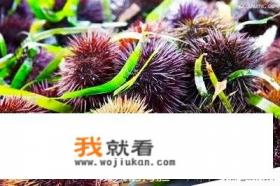 威海乳山银滩赶海有意思吗？有什么攻略呢？