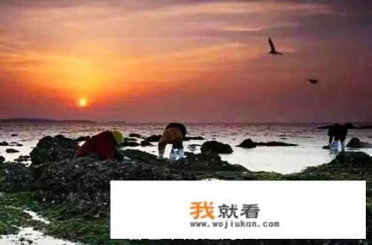 威海乳山银滩赶海有意思吗？有什么攻略呢？