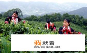 芒市旅游不需要门票的景点？